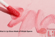 What is Lip Gloss Made of Whale Sperm