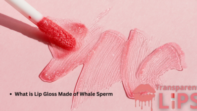 What is Lip Gloss Made of Whale Sperm